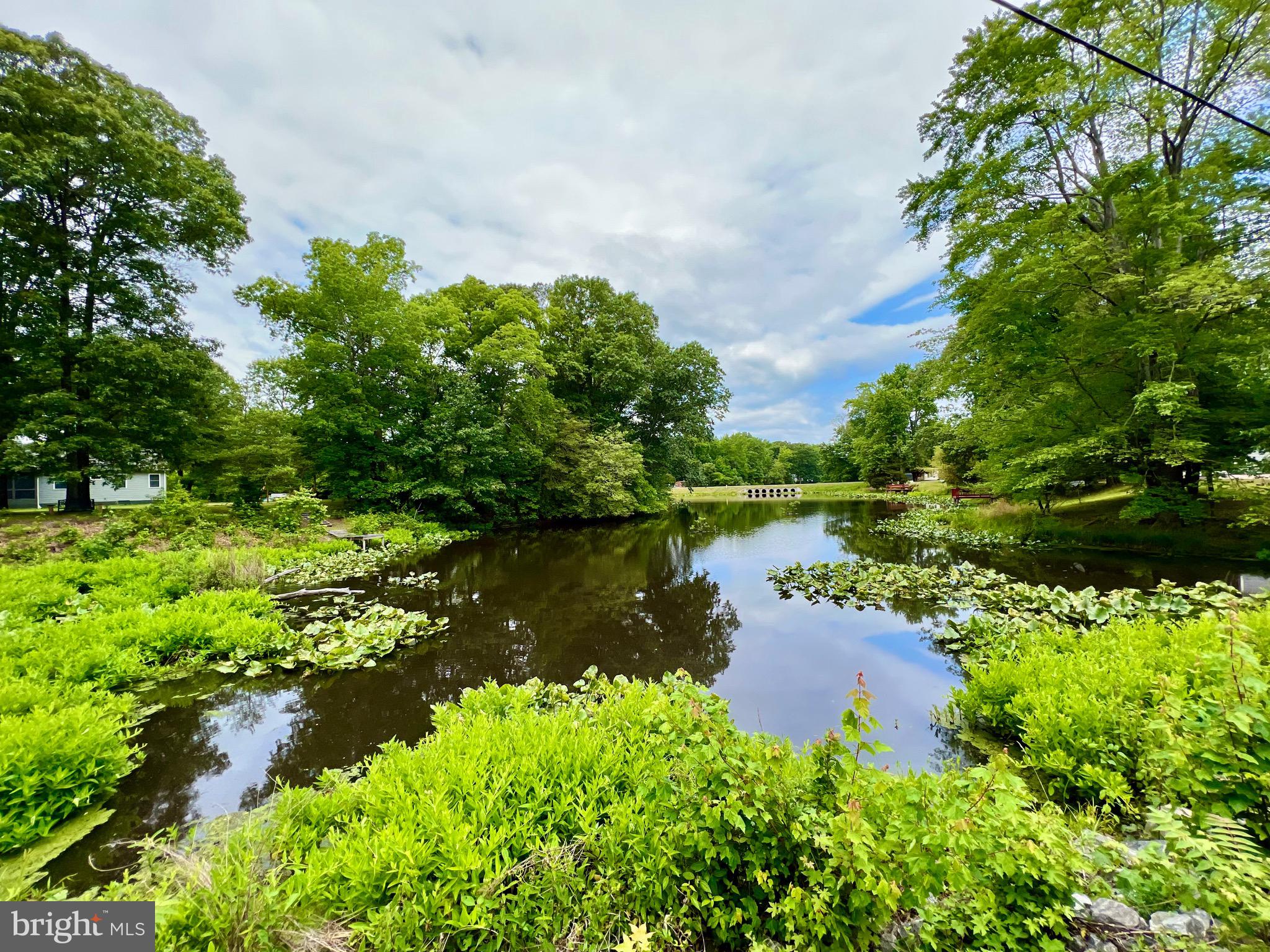 982 Mattox Avenue Colonial Beach, VA 22443 - Photo 53 of 53 a view of a lake with a yard