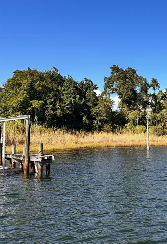 a view of outdoor space with trees