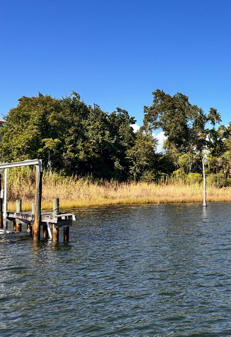 2-3 Petit Court Shalimar, FL 32579 - Photo 3 of 6 a view of outdoor space with trees