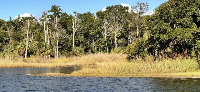 a view of swimming pool with a yard