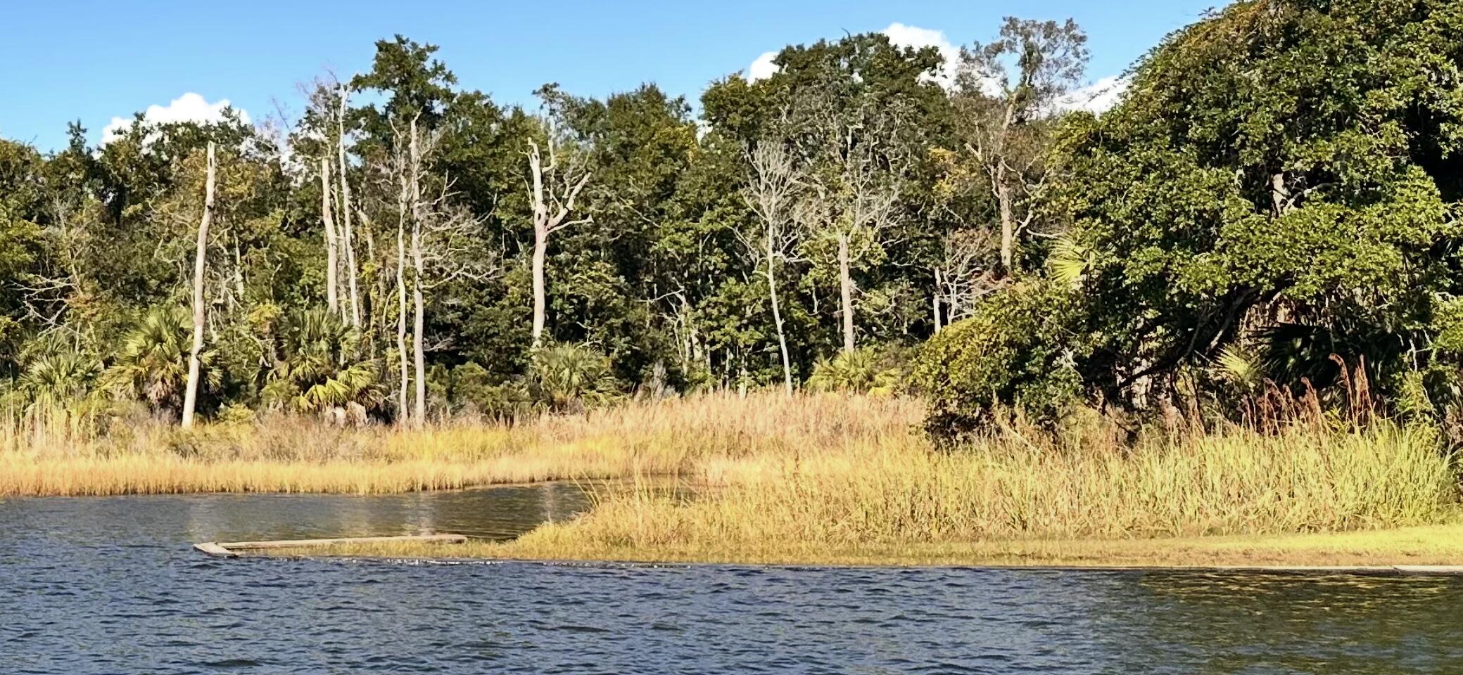 2-3 Petit Court Shalimar, FL 32579 - Photo 4 of 6 a view of swimming pool with a yard