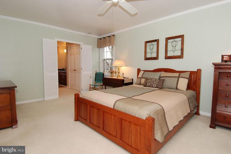 13133 Brandon Way Road Gaithersburg, MD 20878 - Photo 9 of 9 Master Bedroom