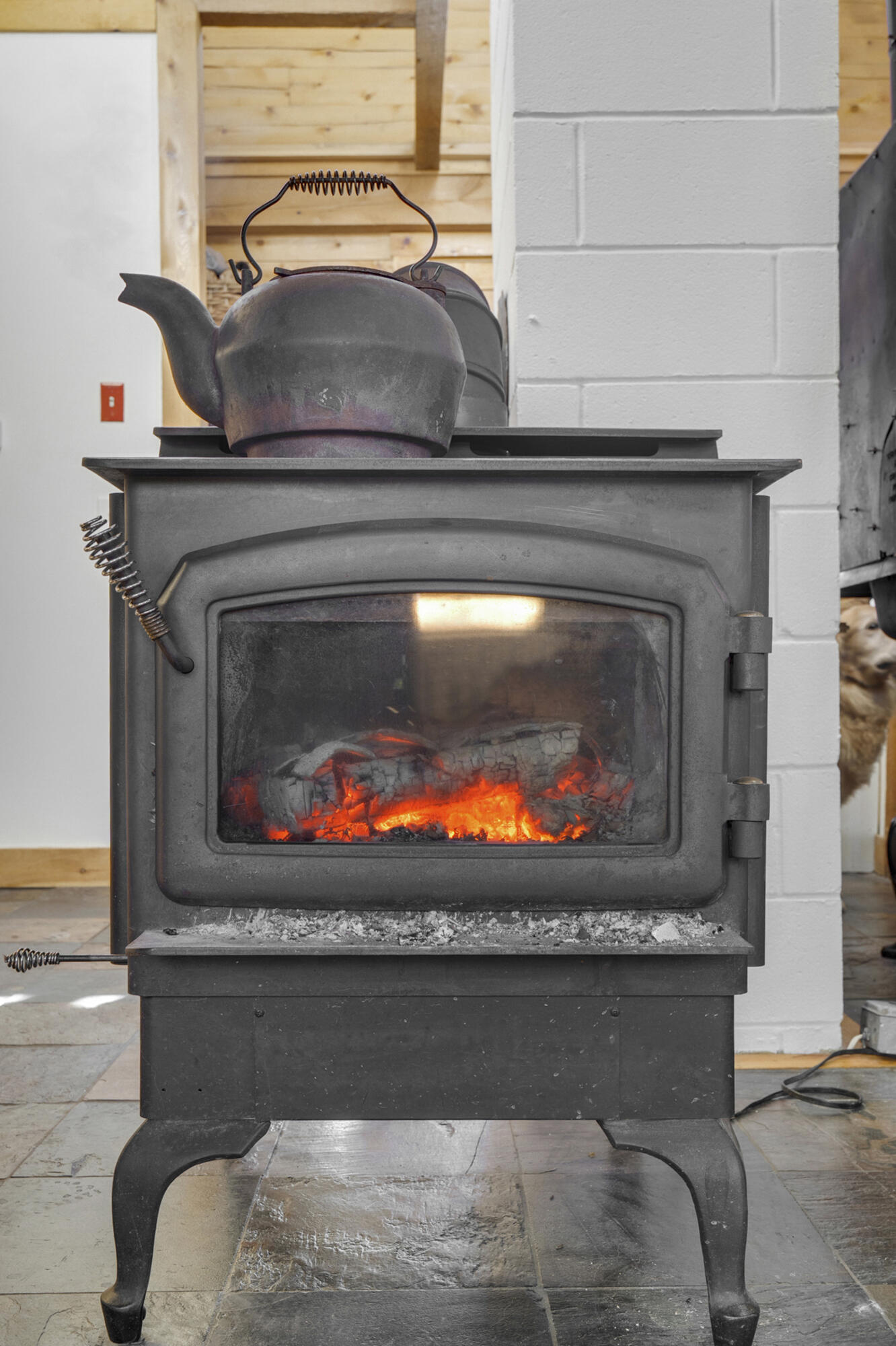 254 Fogg Road Harrison, ME 04040 - Photo 45 of 77 Woodstove