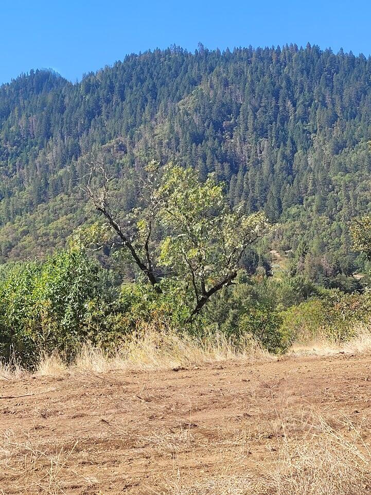 4862 North River Road Gold Hill, OR 97525 - Photo 3 of 8 20250923_121146