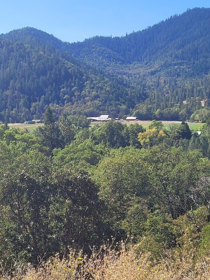 4862 North River Road Gold Hill, OR 97525 - Photo 5 of 8 20250923_120951