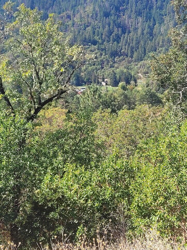 4862 North River Road Gold Hill, OR 97525 - Photo 6 of 8 20250923_120922