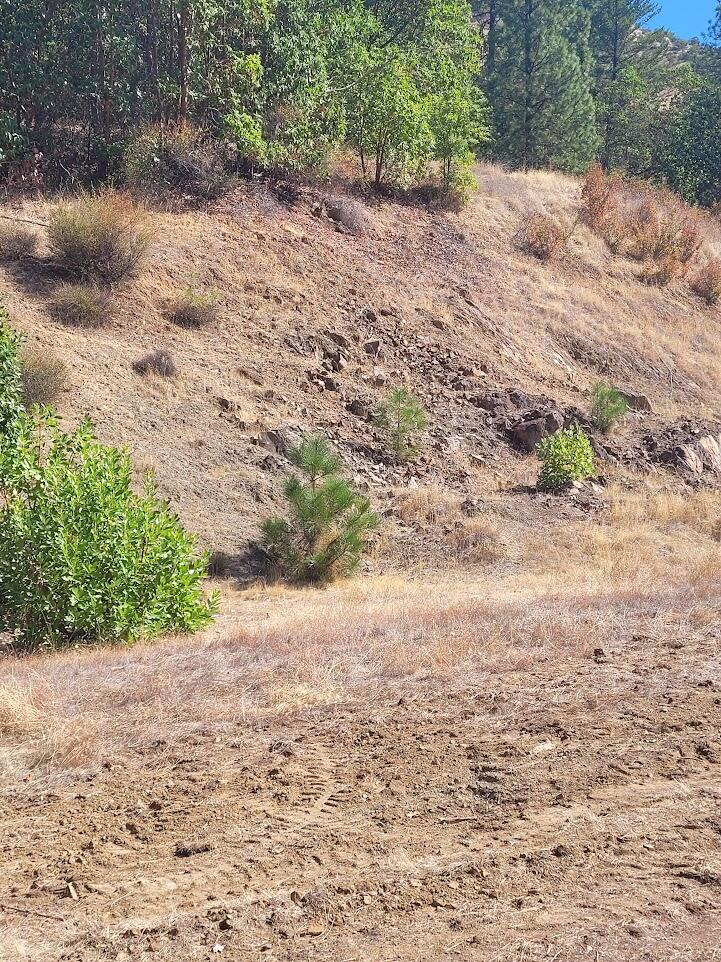 4862 North River Road Gold Hill, OR 97525 - Photo 7 of 8 20250923_120908