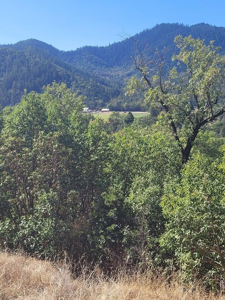 4862 North River Road Gold Hill, OR 97525 - Photo 8 of 8 20250923_120856