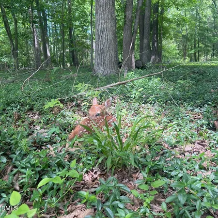 $1,100,000 | 4316 Erwin Road, Durham, NC 27705