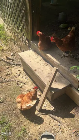 $1,100,000 | 4316 Erwin Road, Durham, NC 27705