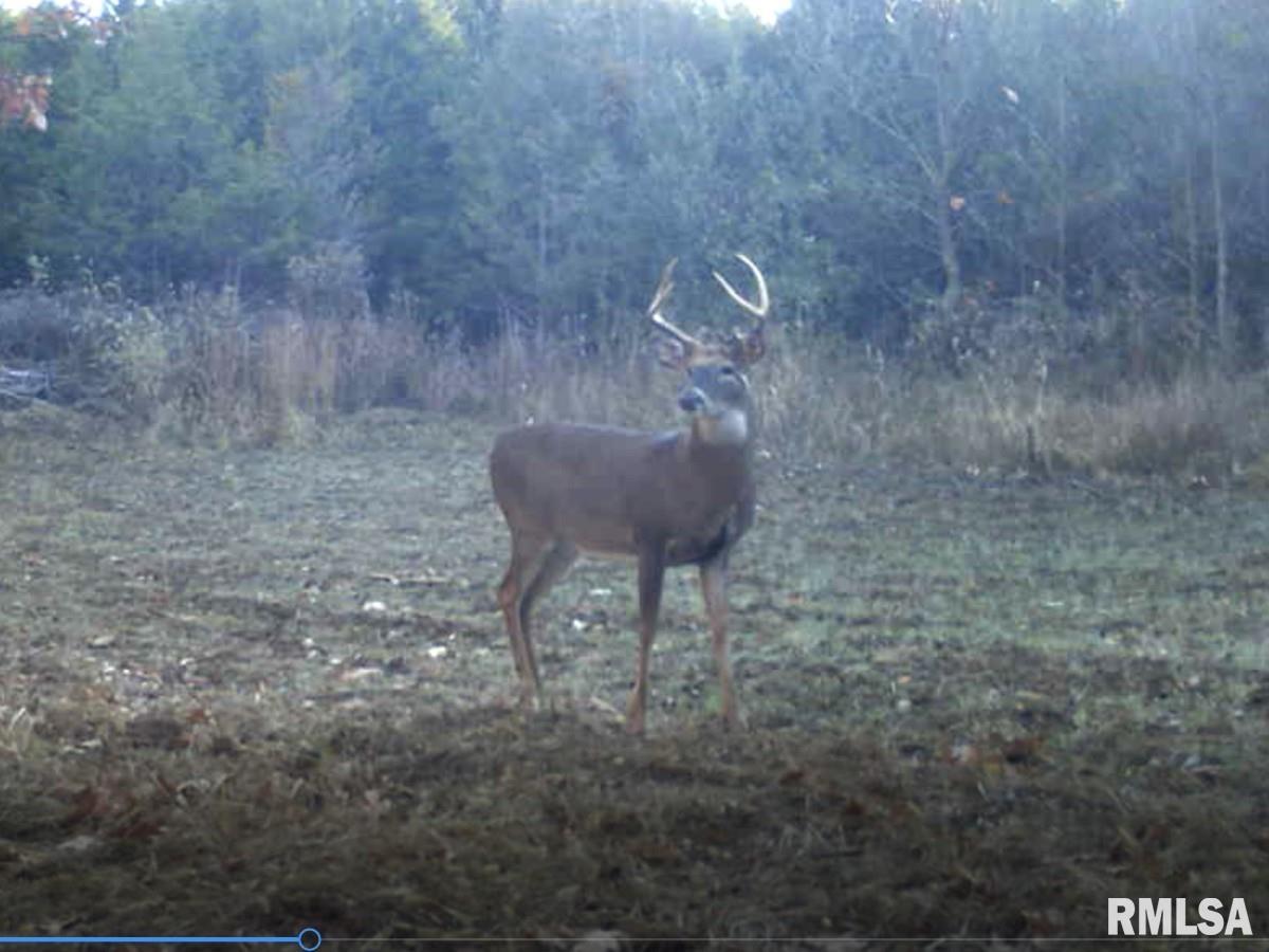 0 Tom Dick Hill Road Stonefort, IL 62987 - Photo 23 of 62