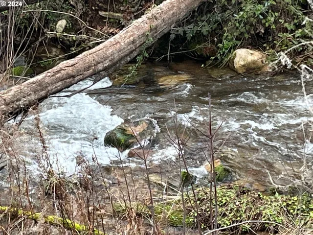 $169,000 | 47983 McKenzie Highway, Vida, OR 97488