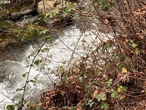 $169,000 | 47983 McKenzie Highway, Vida, OR 97488