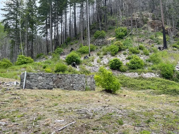 $169,000 | 47983 McKenzie Highway, Vida, OR 97488