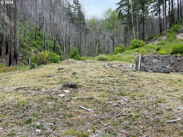 $169,000 | 47983 McKenzie Highway, Vida, OR 97488