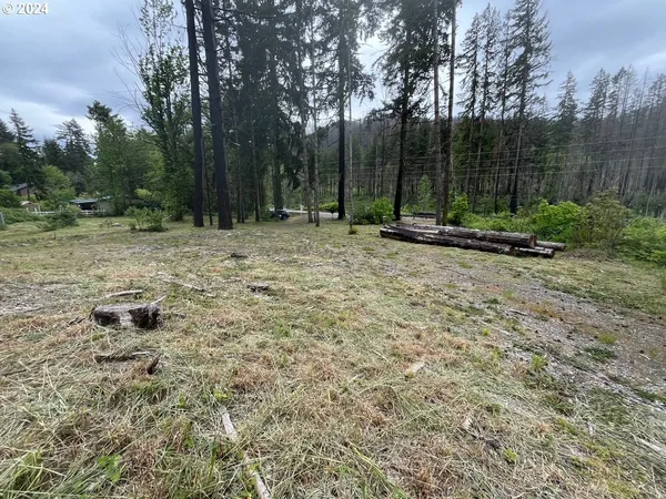$169,000 | 47983 McKenzie Highway, Vida, OR 97488