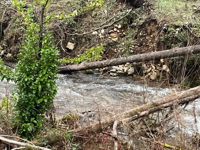 $169,000 | 47983 McKenzie Highway, Vida, OR 97488