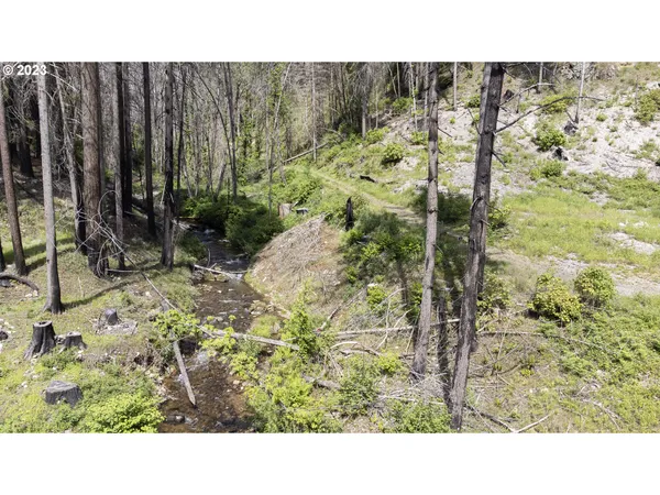 $169,000 | 47983 McKenzie Highway, Vida, OR 97488