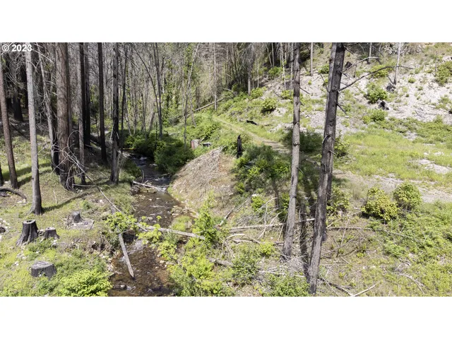 $169,000 | 47983 McKenzie Highway, Vida, OR 97488