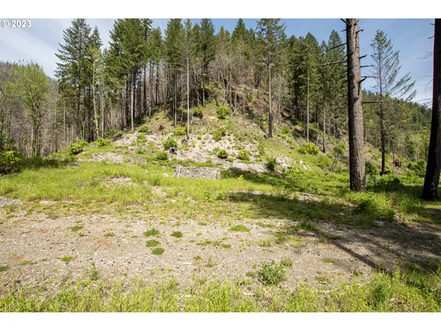 $169,000 | 47983 McKenzie Highway, Vida, OR 97488