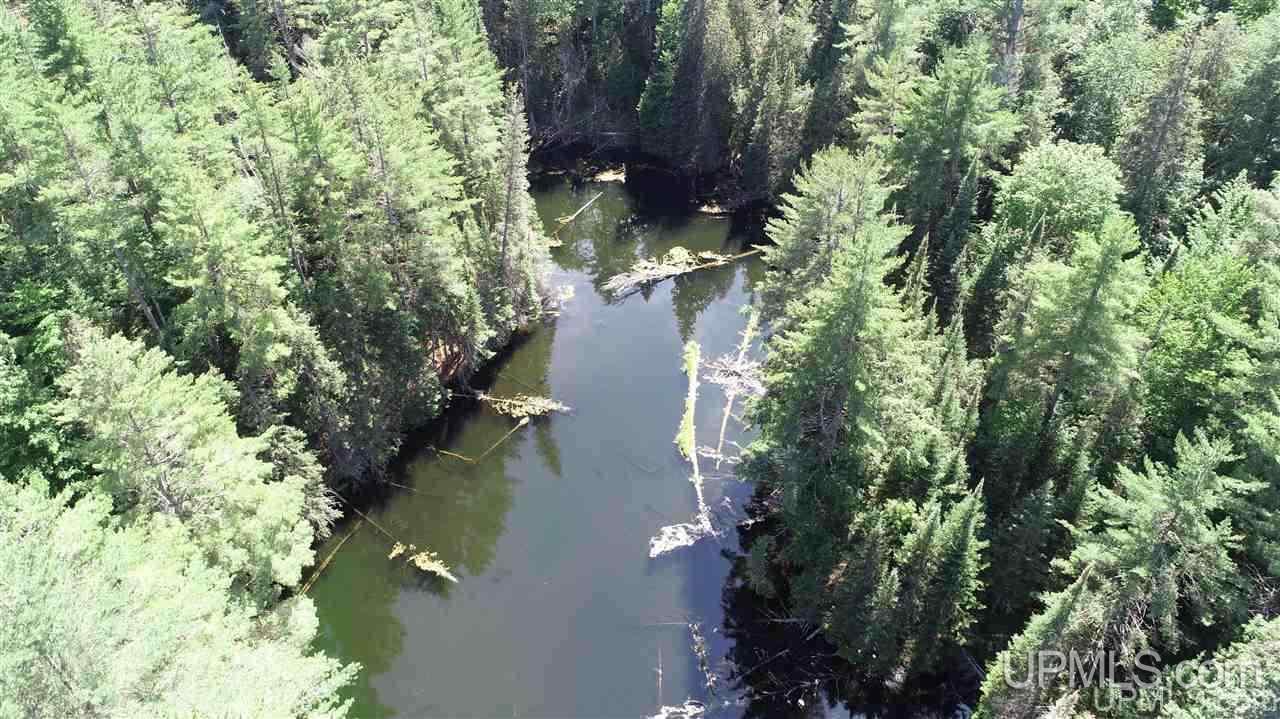 2804-acres Co Rd 442 McMillan, MI 49853 - Photo 6 of 48