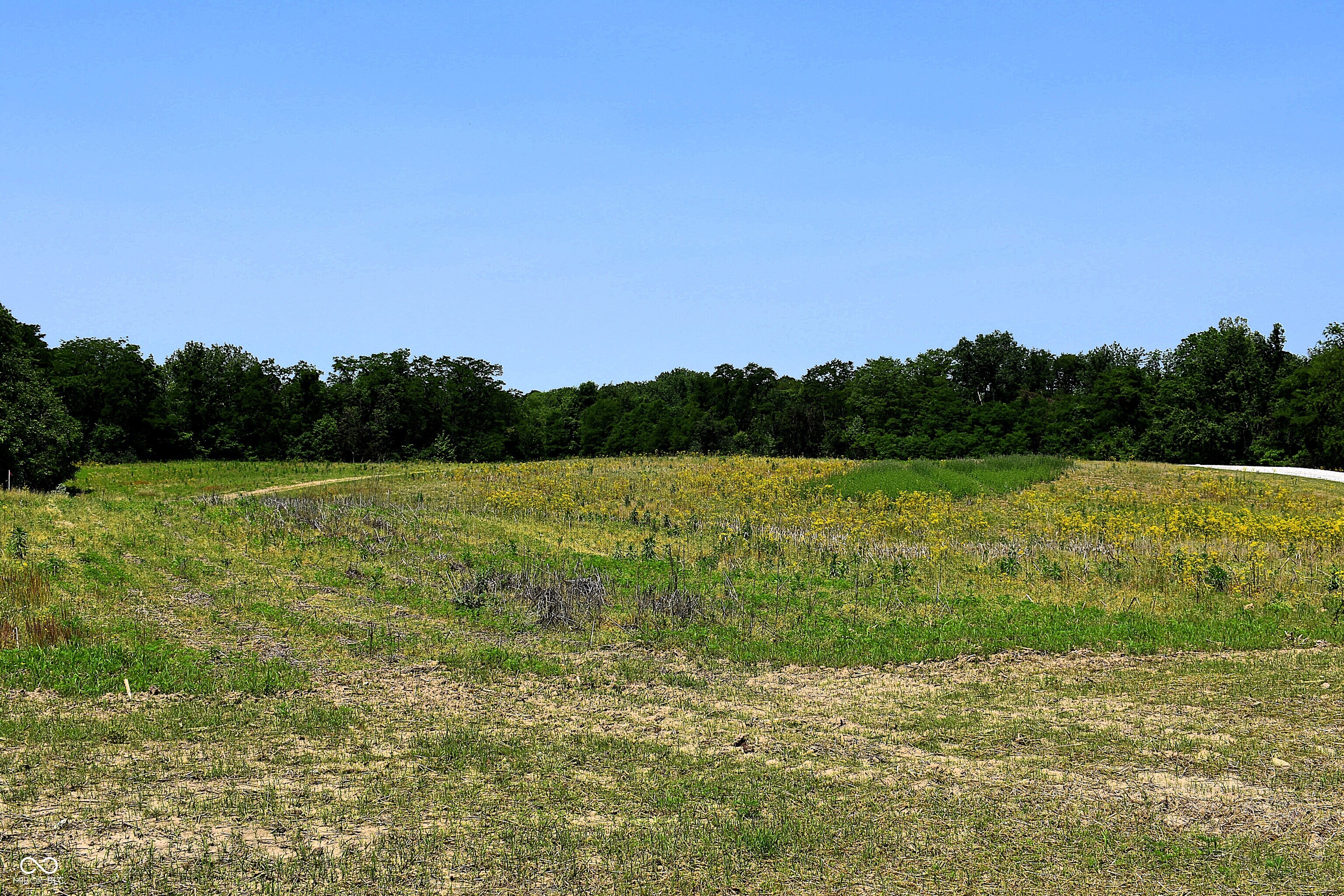 0 Whitetail Ridge Mooresville, IN 46158 - Photo 4 of 8