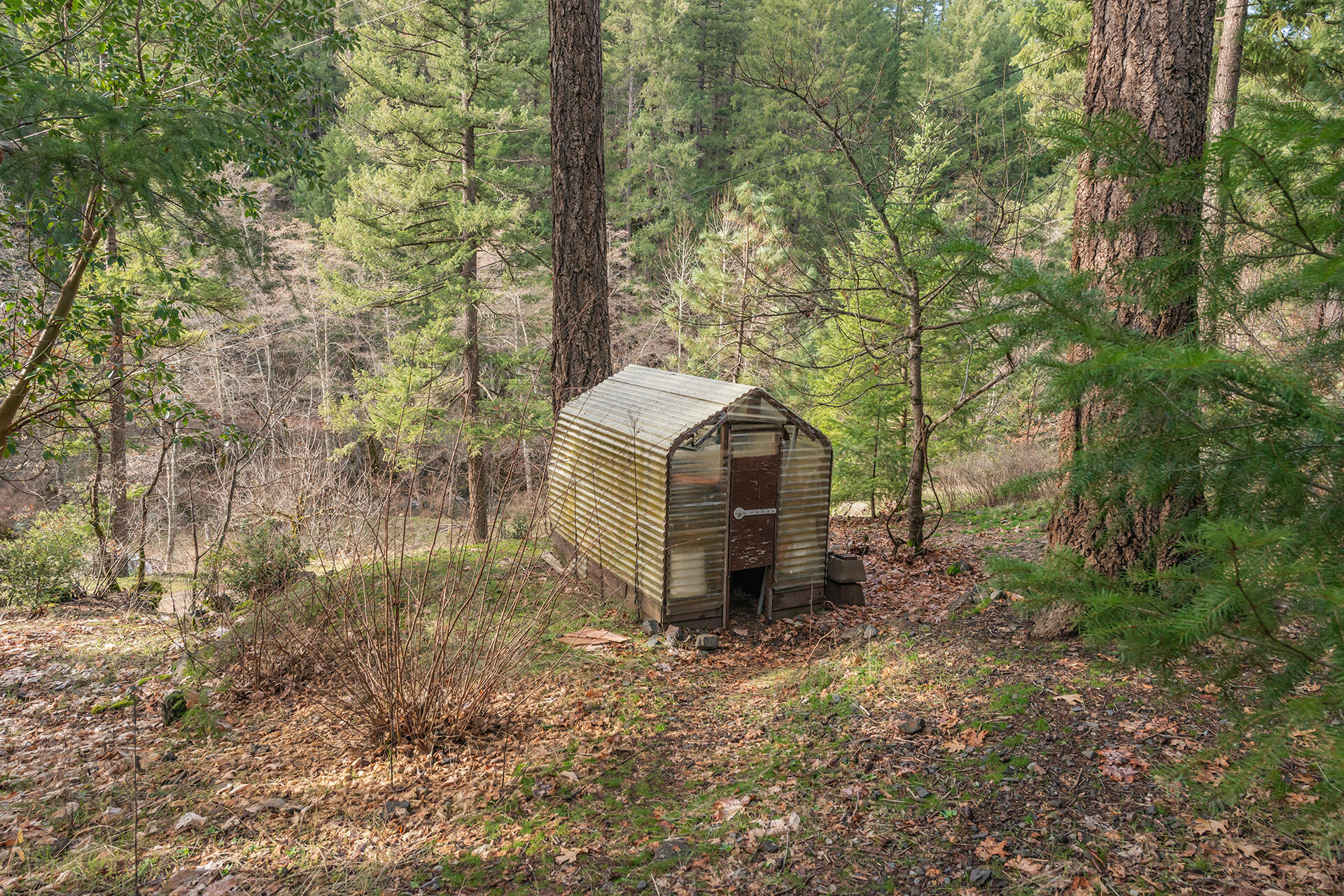 540 Lost Bridge Road Lewiston, CA 96052 - Photo 66 of 67 DSC_5740