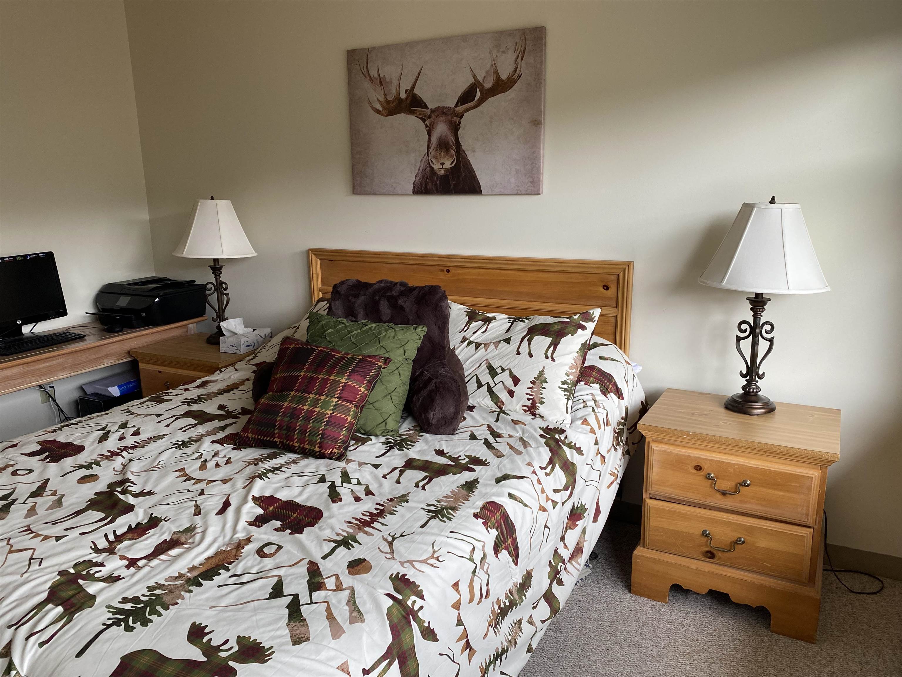 28 Packard's Road, Unit 400 Waterville Valley, NH 03215 - Photo 22 of 34