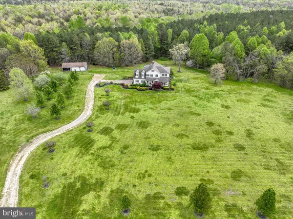 a view of a big yard with trees