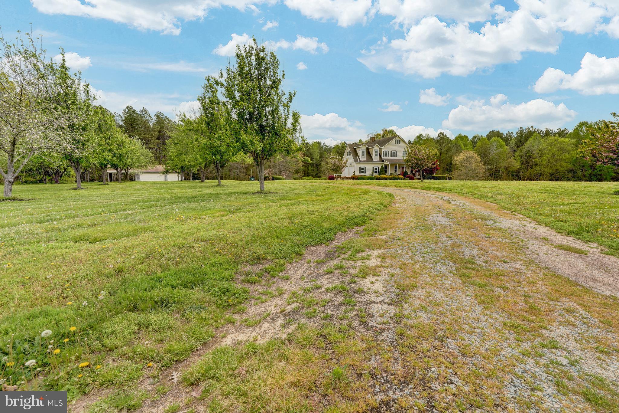 2066 Byrd's Mill Road Newtown, VA 23126 - Photo 4 of 61 a view of a big yard with trees