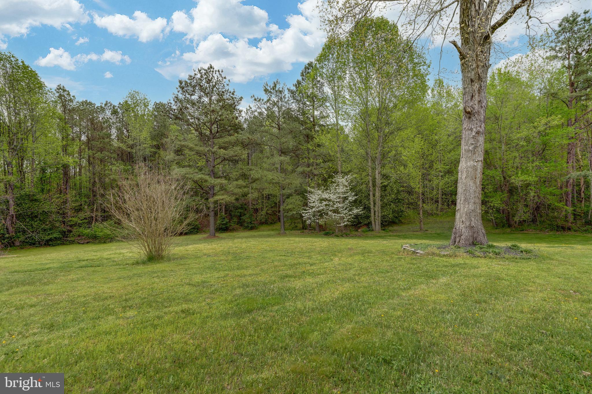 2066 Byrd's Mill Road Newtown, VA 23126 - Photo 55 of 61 a view of a field with trees in the background