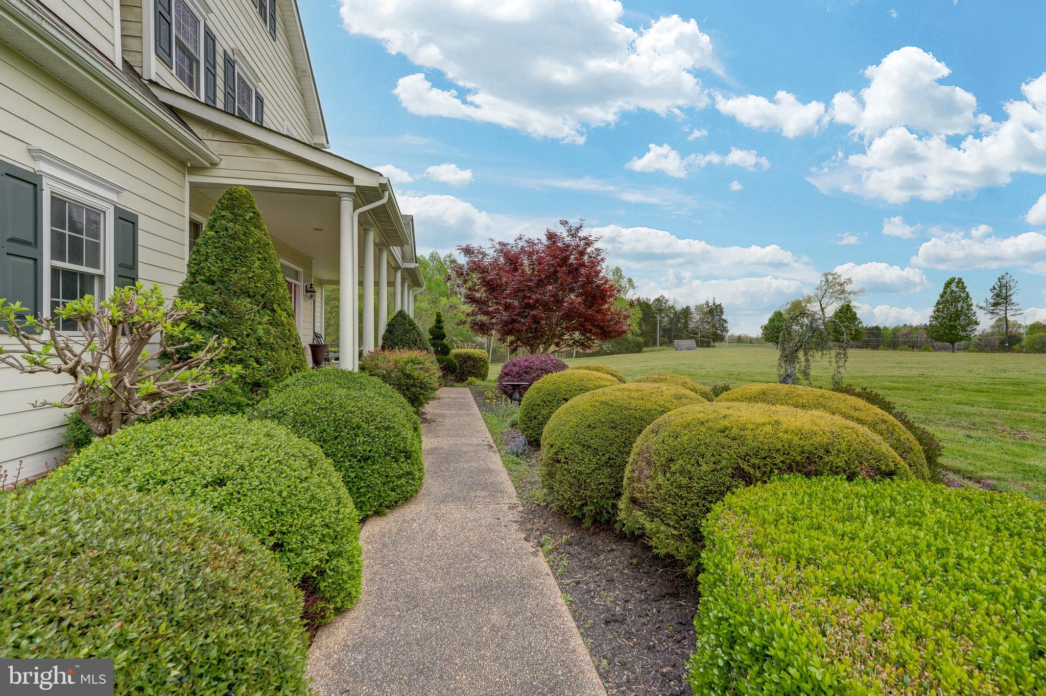 2066 Byrd's Mill Road Newtown, VA 23126 - Photo 6 of 61 a view of a garden with plants and large trees