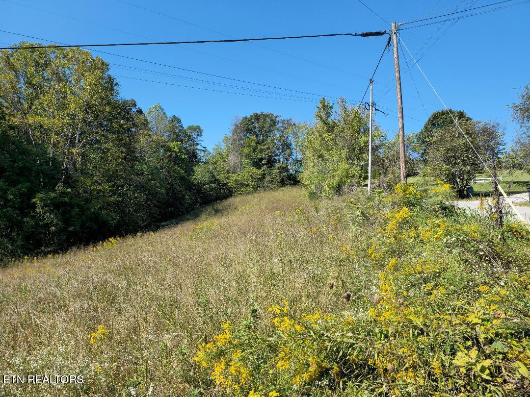 18.72-ac Ferguson Ridge Road Tazewell, TN 37879 - Photo 6 of 12 4