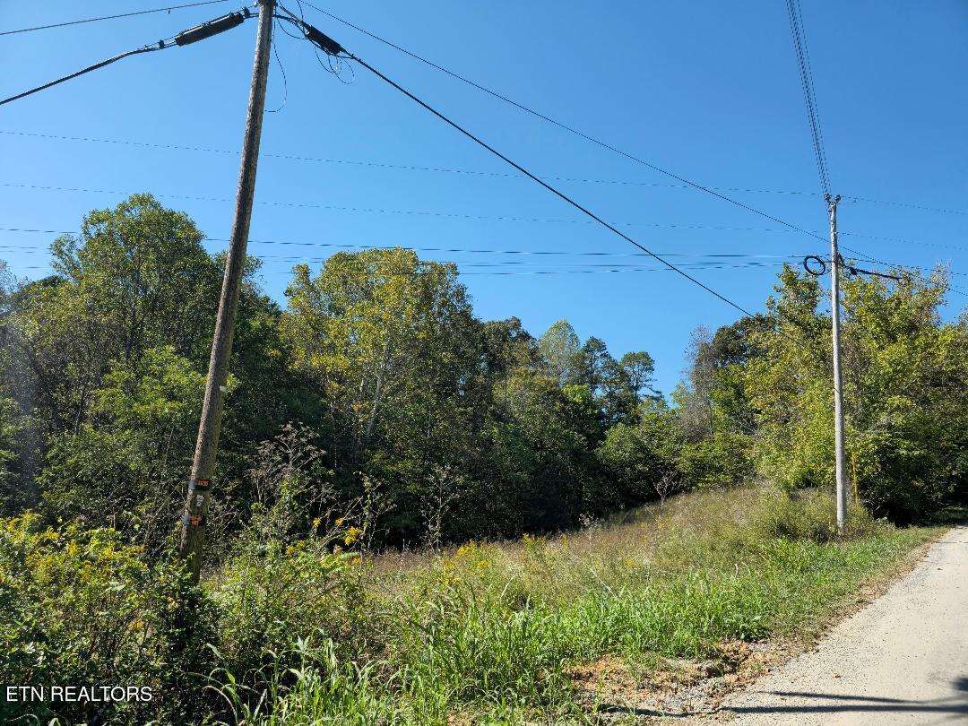 18.72-ac Ferguson Ridge Road Tazewell, TN 37879 - Photo 8 of 12 7