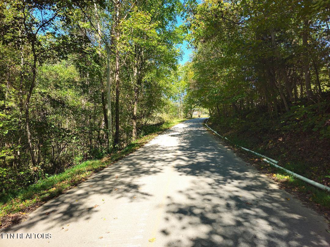 18.72-ac Ferguson Ridge Road Tazewell, TN 37879 - Photo 10 of 12 13