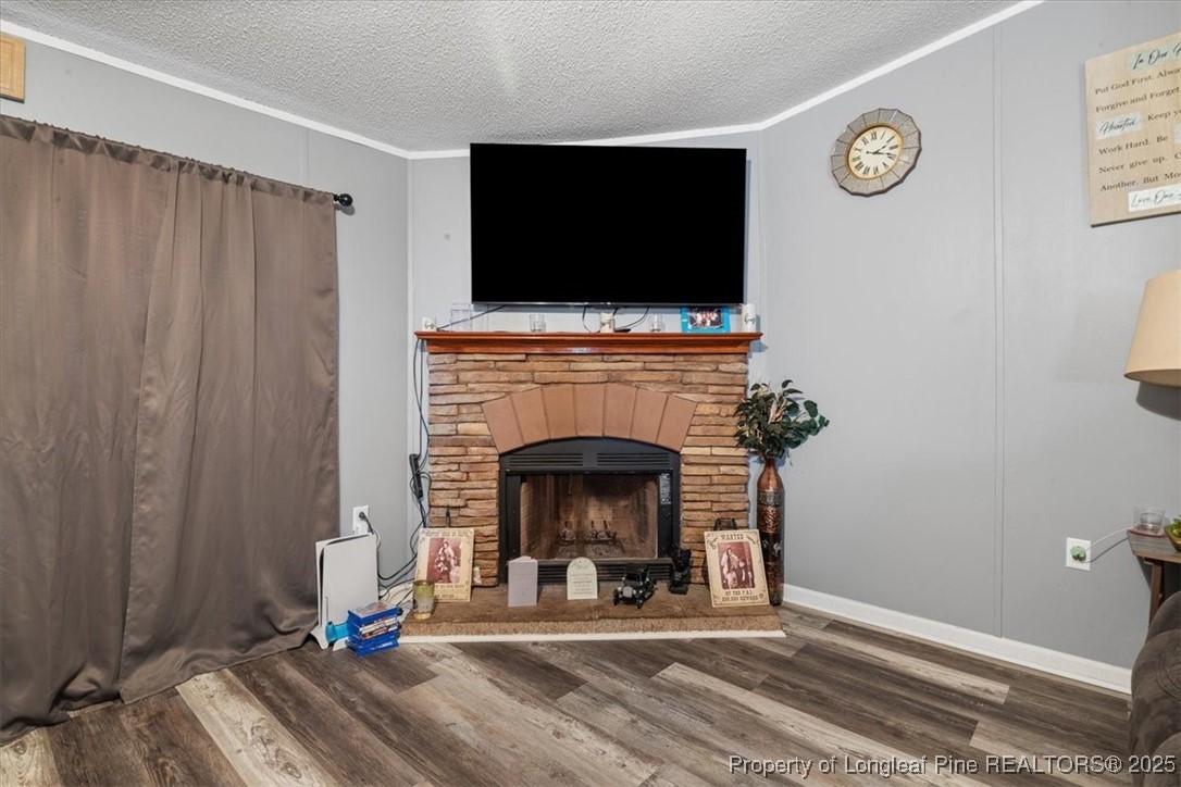 538 Participle Court Hope Mills, NC 28348 - Photo 15 of 32 a living room with furniture and a fireplace