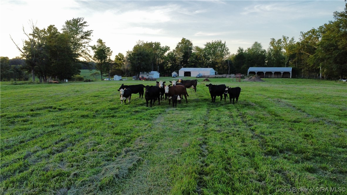 7092 North Jake Gayle Road Commiskey, IN 47227 - Photo 13 of 13