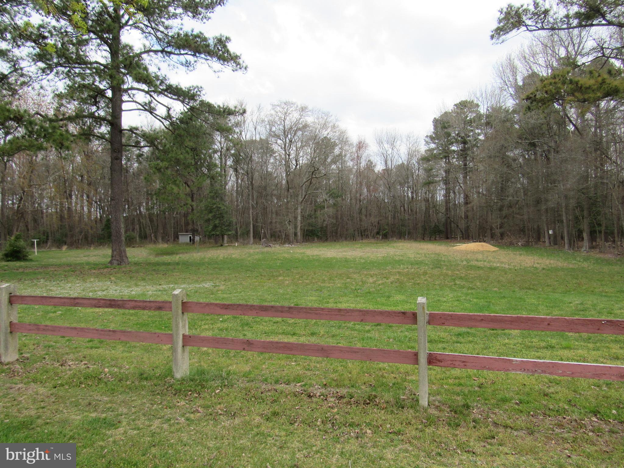 17157 Wilson Hill Road Georgetown, DE 19947 - Photo 10 of 38