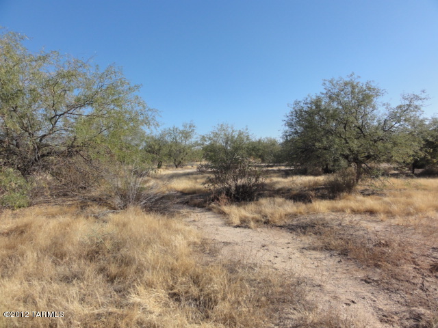 9171 South Fillmore Road Tucson, AZ 85736 - Photo 34 of 34