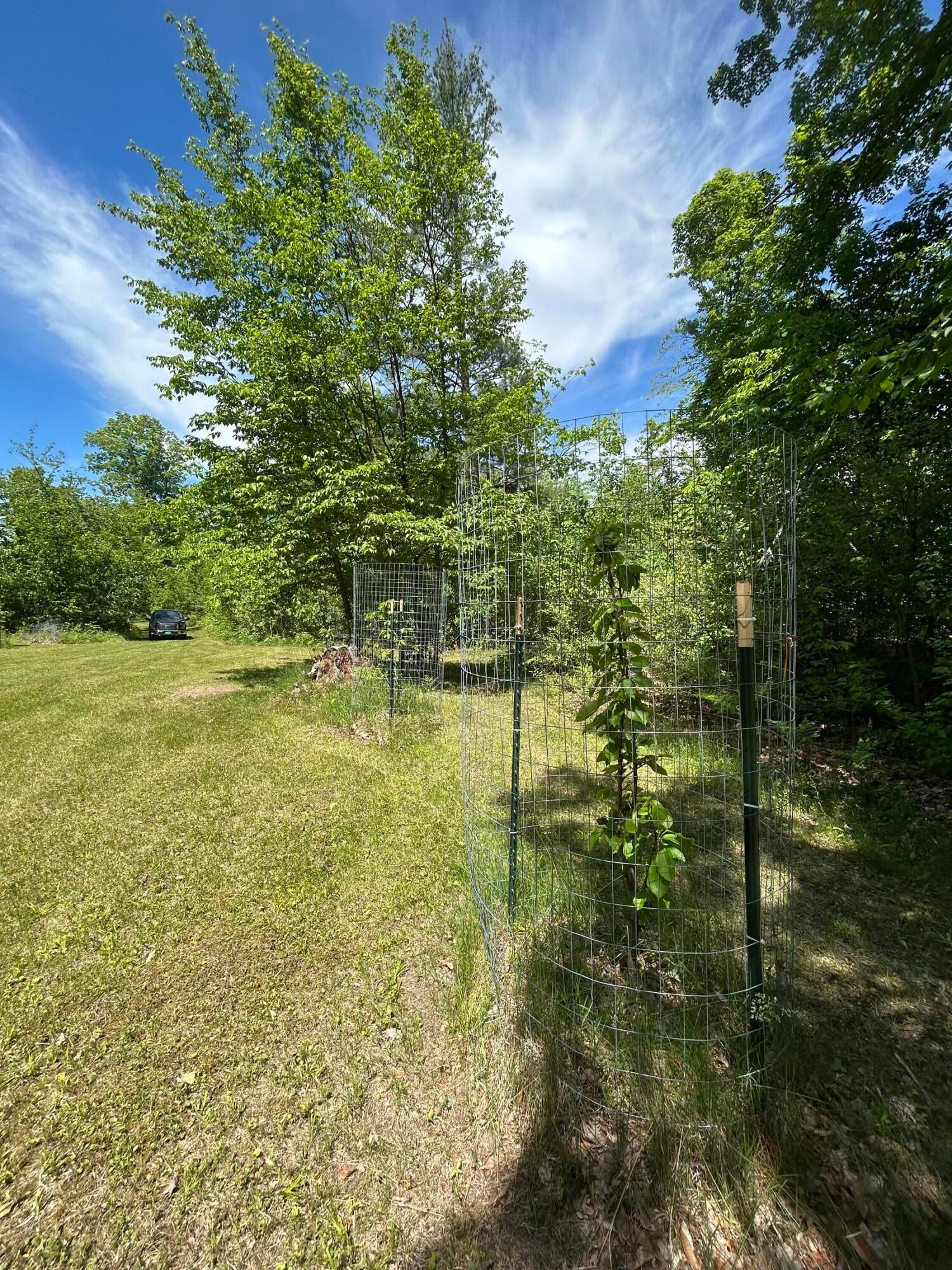 1510 Rogers Road Fairview, MI 48621 - Photo 43 of 61 Gallery Image 43