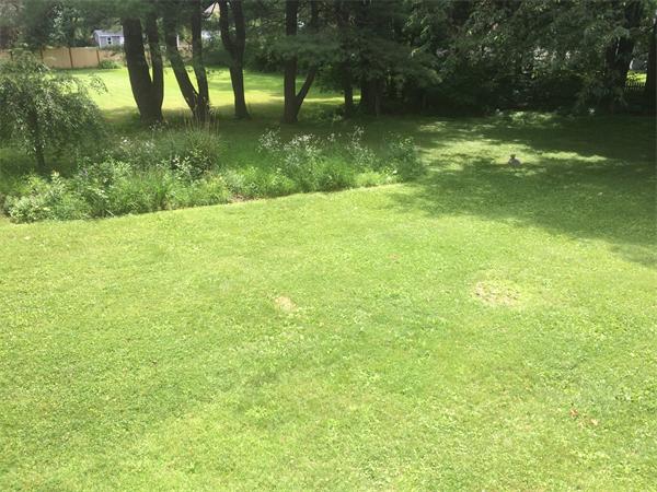 37 Evergreen Road Northampton, MA 01053 - Photo 24 of 27 a view of yard with green space
