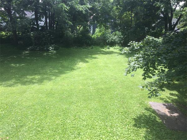 37 Evergreen Road Northampton, MA 01053 - Photo 25 of 27 a view of yard with green space