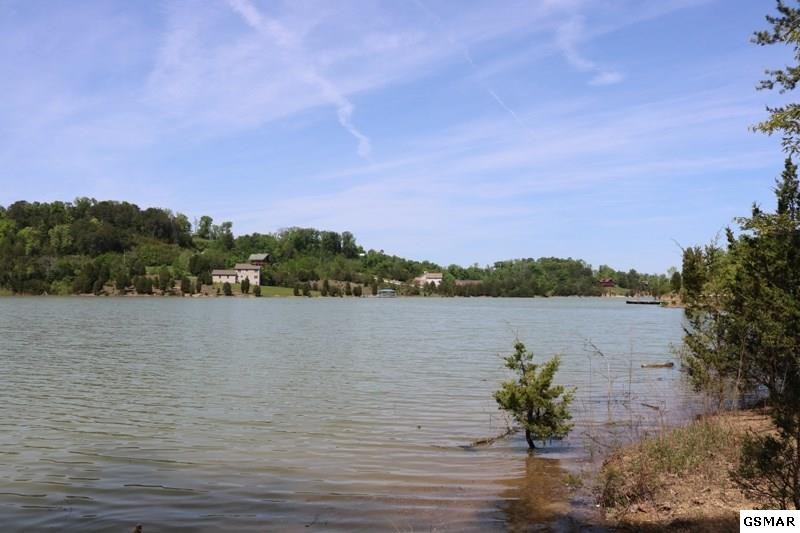 0 Lot 35 Buck Horn Road Sevierville, TN 37876 - Photo 2 of 30