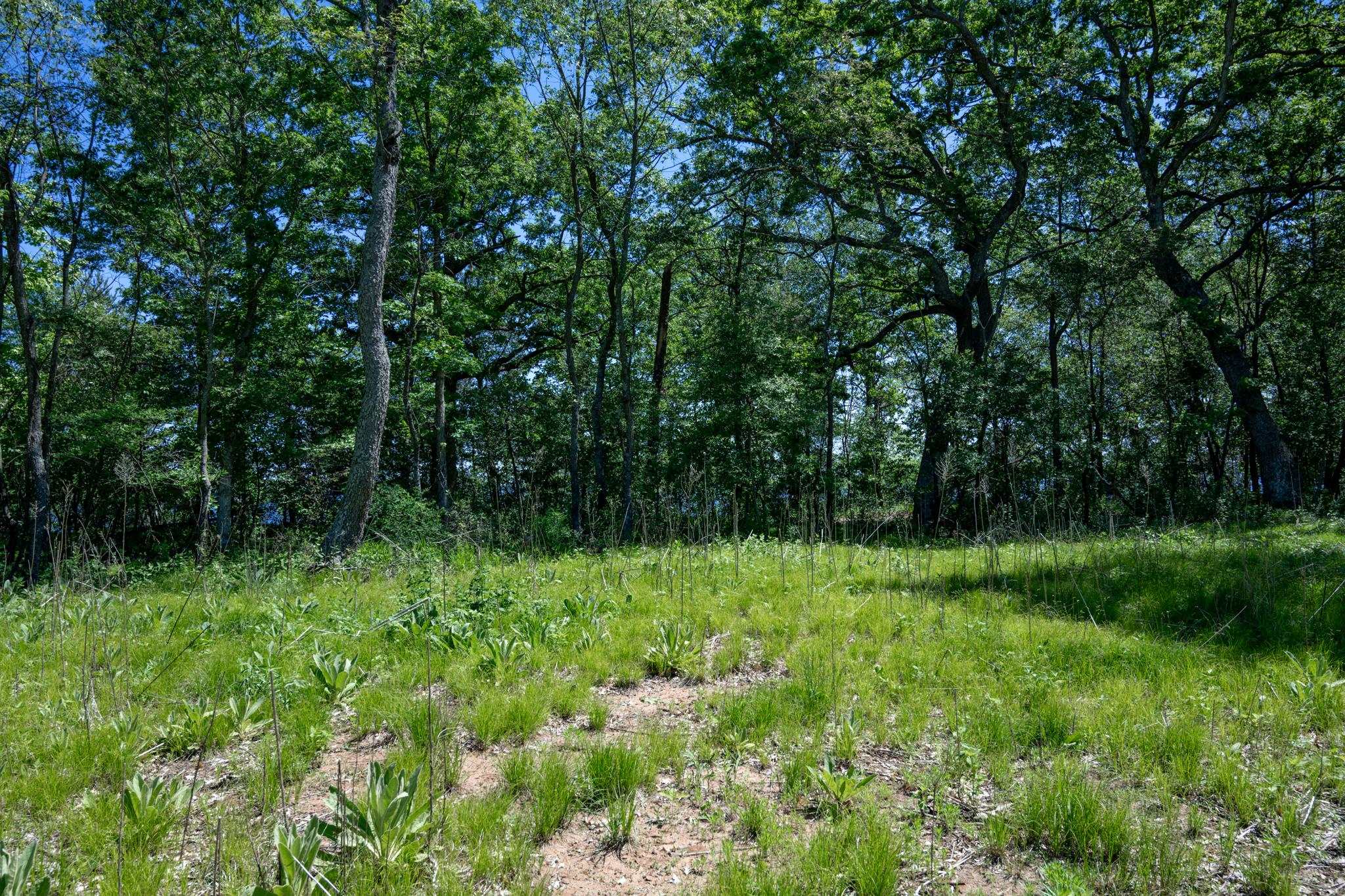 N14672 Porter Road Nekoosa, WI 54457 - Photo 31 of 51