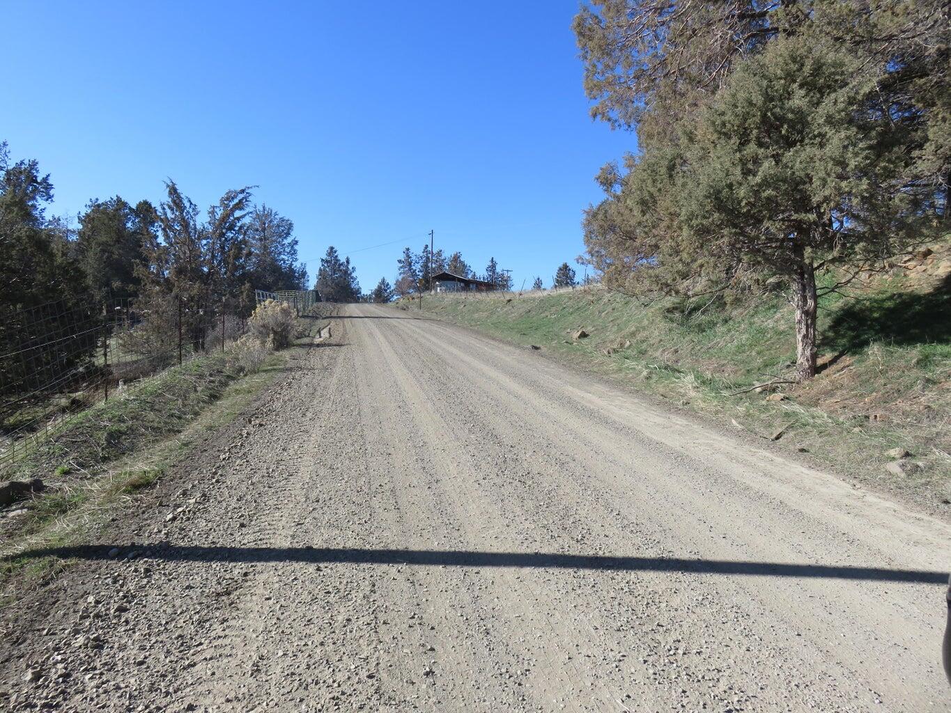 295 County Road 149 Lookout, CA 96054 - Photo 36 of 40 a view of a dry yard with trees in the background