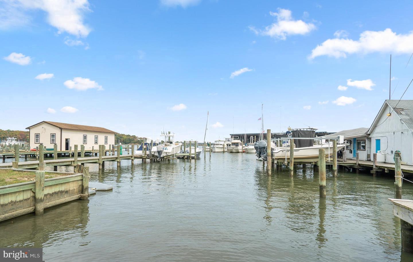 823 Selby Boulevard Edgewater, MD 21037 - Photo 37 of 40 a view of a lake with boats and large trees