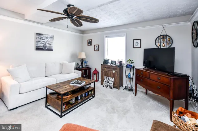 a living room with furniture and a rug