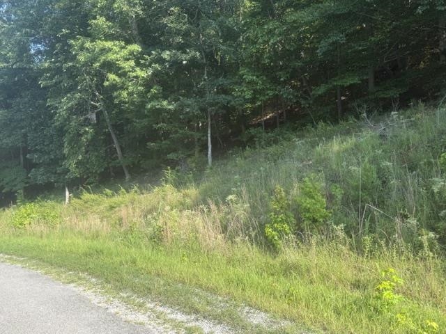 6 Carroll Hollow Road Waynesboro, TN 38485 - Photo 16 of 20 Gallery Image 16