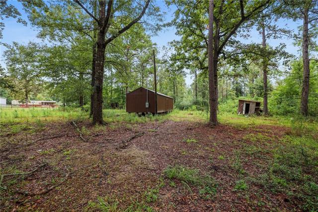 64192 Russell Town Road Roseland, LA 70456 - Photo 2 of 7 Gallery Image 2