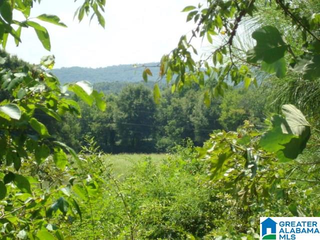 0 Dabbs Road, Unit 19 & 20 Oxford, AL 36203 - Photo 10 of 33